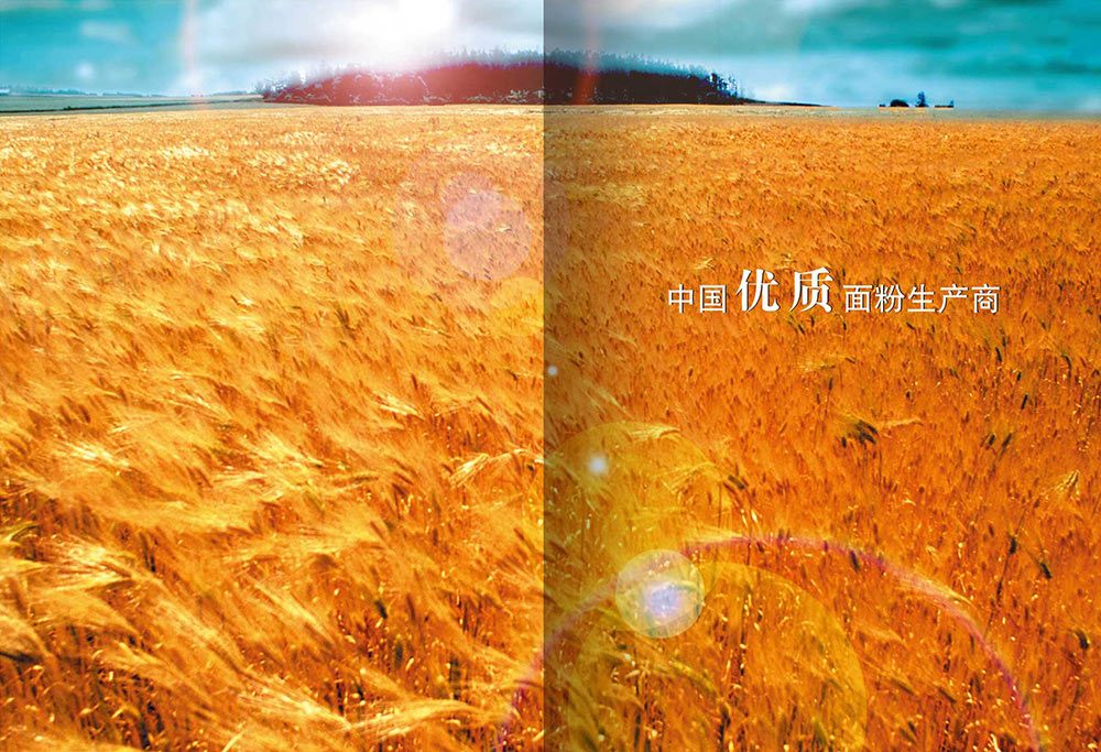 食品畫冊設計